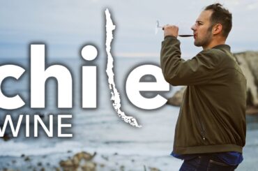Wine Tour In Chile? Adventure In The World's Longest Country!