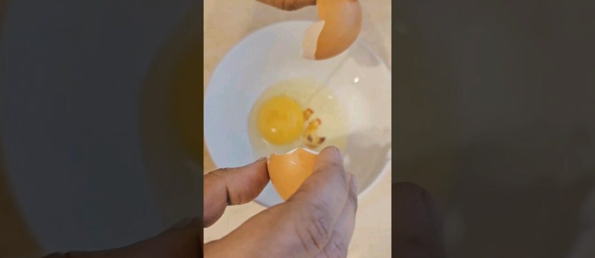 cheese omelette 5 min recipe #youtubeshorts #shortsvideo #ytshorts cheese omelette 5 min recipe #youtubeshorts #shortsvideo #ytshorts