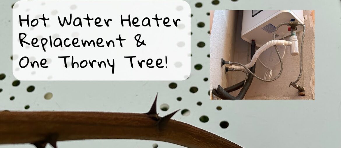 Last Days Before Locking Up and Leaving Our Petite Stone House Chateau Last Days Before Locking Up and Leaving Our Petite Stone House Chateau