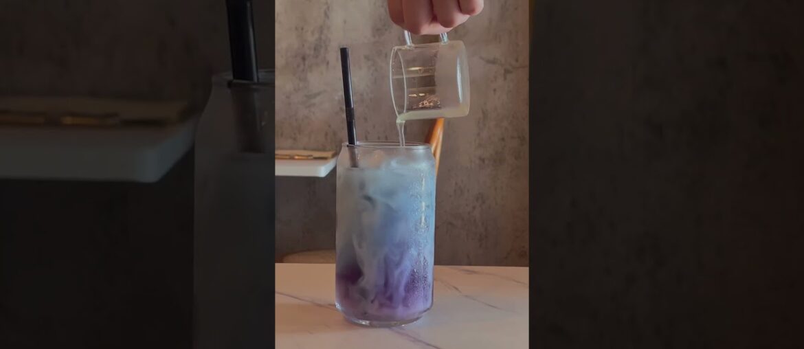 Allo French Cuisine at Jalan Besar Singapore Allo French Cuisine at Jalan Besar Singapore