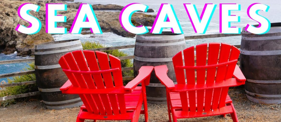 BEST Winery View WITHOUT Any Vineyards