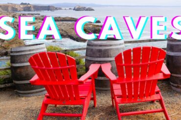 BEST Winery View WITHOUT Any Vineyards