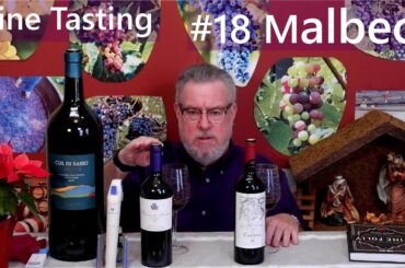 Wine Tasting #18 - Two Malbecs
