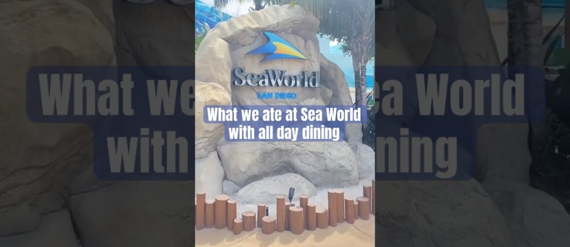 All day dining options! #seaworld #alldaydining #foodie #themeparkfood #shorts #food #seaworldcares