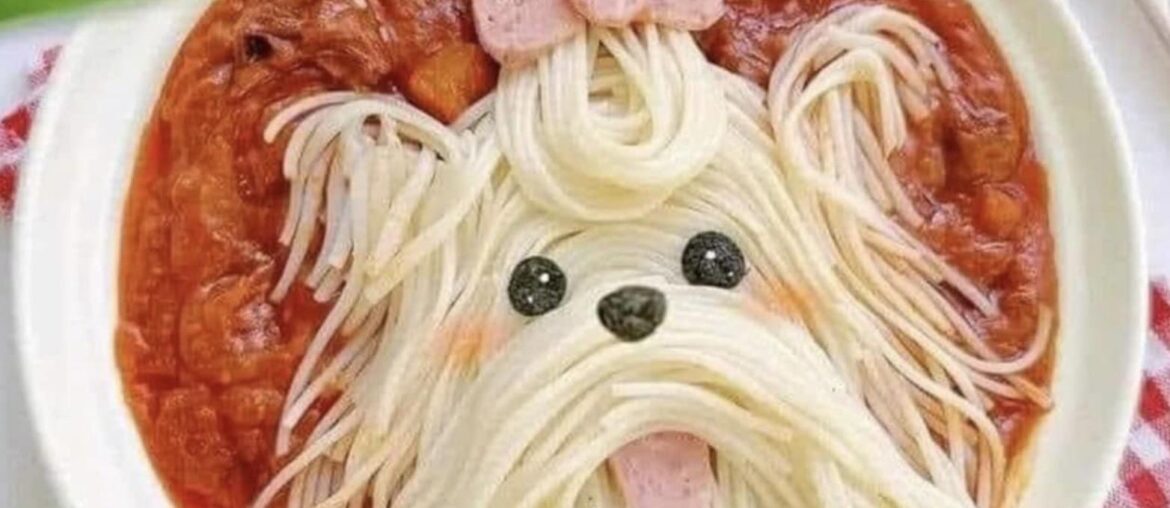 Très bon repas ‼️