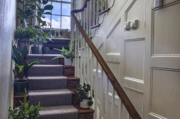 Stairway lined with houseplants in a former Victorian rectory originally built for a brewery owner in 1861, Cumbria, North West England [1667x2500]