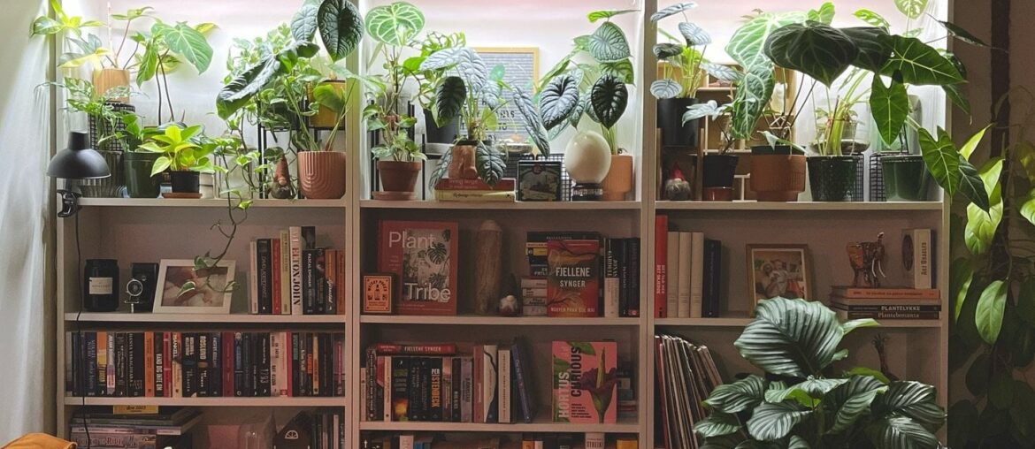 Bookcases full of houseplants, Oslo, Norway [1440x1792]