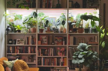 Bookcases full of houseplants, Oslo, Norway [1440x1792]