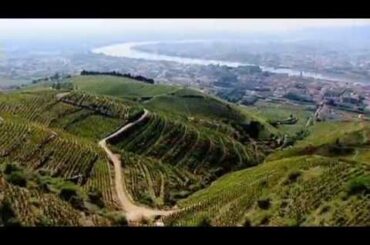Discover The Wines of the Rhone Valley, Part 1 of 3