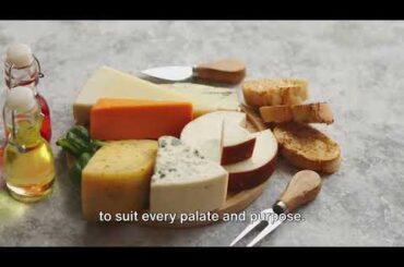 Cheese 101: Types, Uses, and Health Benefits