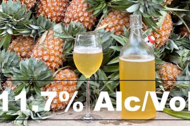 Homemade PINEAPPLE WINE with 11.7% of ALCOHOL