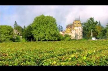 La Viticulture en France - French Wine and Provincial Life