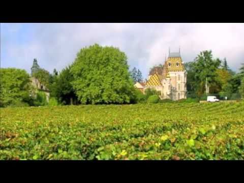 La Viticulture en France – French Wine and Provincial Life La Viticulture en France - French Wine and Provincial Life