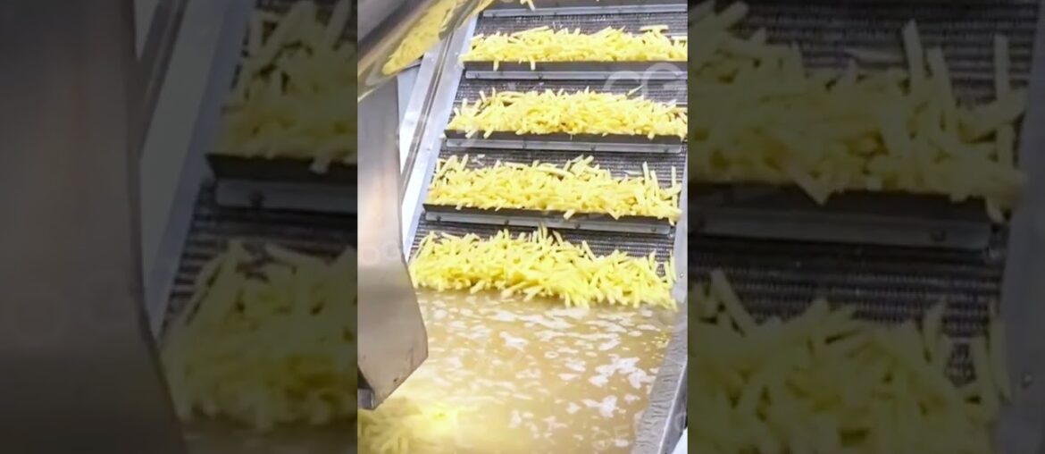 French Fries Making Machine Line  #fries Making Machine