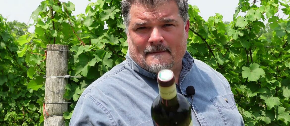 MARVELOUS Domaine Tempier 2020 Bandol - Lulu & Lucien (France)