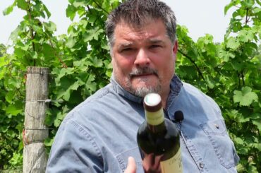 MARVELOUS Domaine Tempier 2020 Bandol - Lulu & Lucien (France)