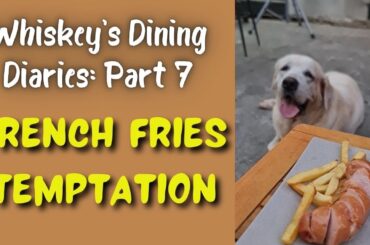 The Labrador's Dining Diaries: Part 7- French fries temptation #retriever #animals #funny #doglover