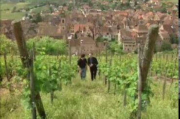 Discover the Wines of Alsace