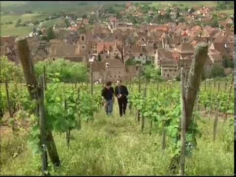 Discover the Wines of Alsace Discover the Wines of Alsace