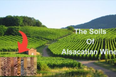 The Soils for the Wines of Alsace