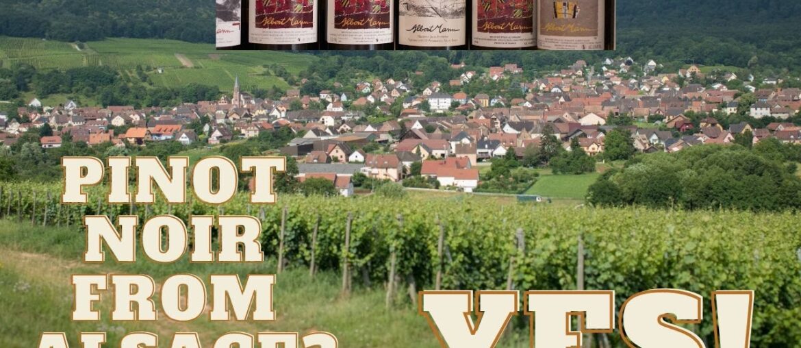 Pinot Noir in Alsace Pinot Noir in Alsace