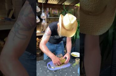 Lamb rack French trimmed with pistachio crust on Weber Kettle