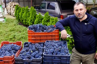 Homemade Wine from homemade Grapes | Food and Drinks by GEORGY KAVKAZ