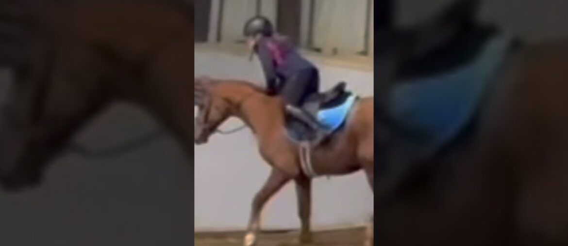 Spooky French fry from our trial ride! Sry bout the quality I zoomed in a lot