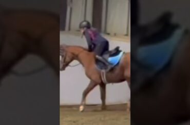 Spooky French fry from our trial ride! Sry bout the quality I zoomed in a lot