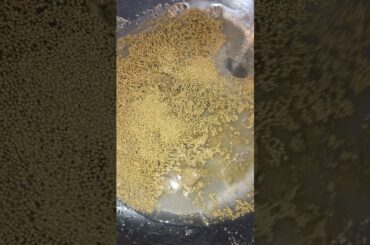 ASMR water sounds #shorts starting Aunt Matilda's (AKA Aunt Tilly) French Bread recipe