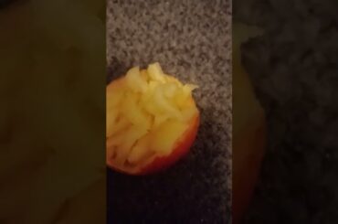 Eat healthy French fries.