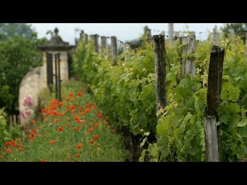 French Wines Going Organic French Wines Going Organic