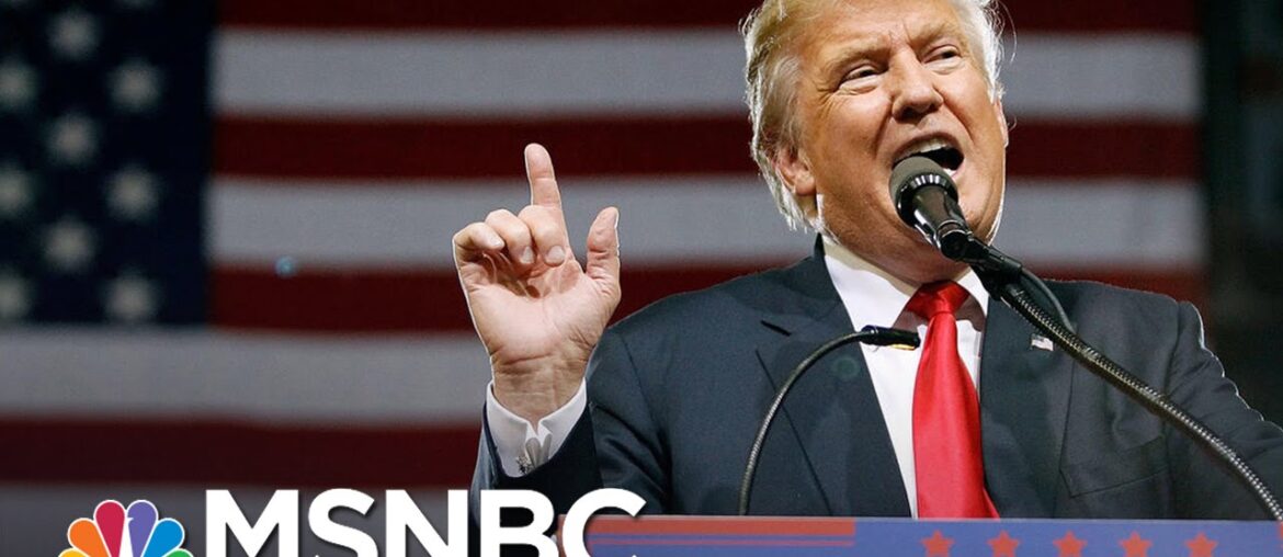 Donald Trump: 'France Is No Longer France' | MSNBC