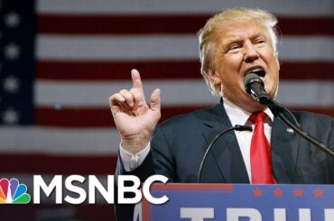 Donald Trump: 'France Is No Longer France' | MSNBC