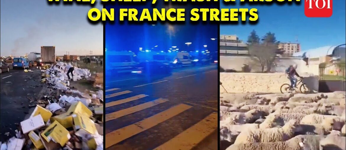 Shocking! France Protests Intensify Where Farmers Block Roads with Wine & Sheep | Macron | TOI Shocking! France Protests Intensify Where Farmers Block Roads with Wine & Sheep | Macron | TOI