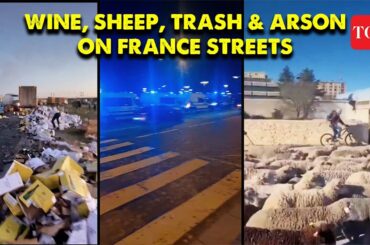 Shocking! France Protests Intensify Where Farmers Block Roads with Wine & Sheep | Macron | TOI