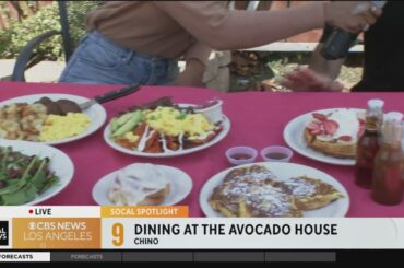 Dining at Chino's Avocado House | SoCal Spotlight