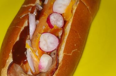 Cochonnaille en brioche et son lard, échalotes, radis, mimolette extra-vieille 21 mois