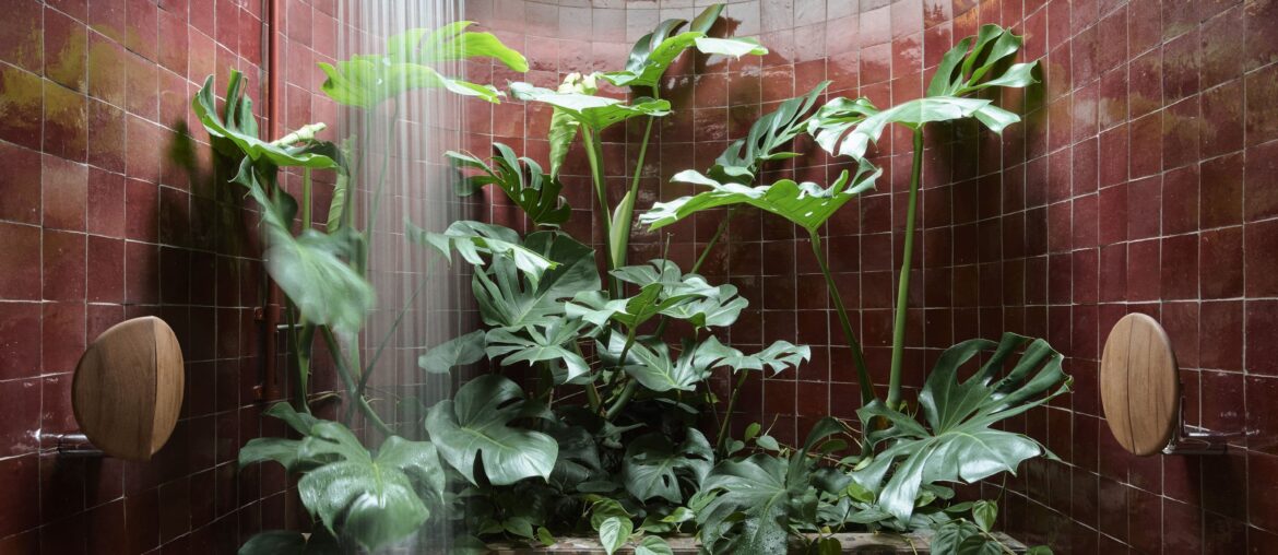 Tile and terrazzo shower with a circular skylight in a unique terrace house, Surry Hills, Sydney, New South Wales, Australia [3000x4000]