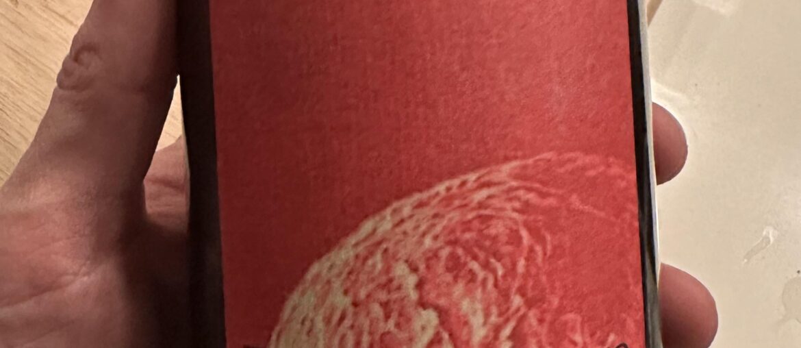 Matassa Tattouine Rouge 2022