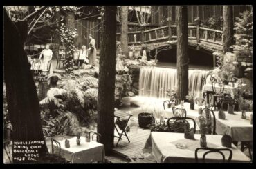 At the dawn of 20th century, the dining room of the Brookdale Lodge, Witha River and living Trees in it, would have been pretty magical. The lodge is still open today. [1000x654]
