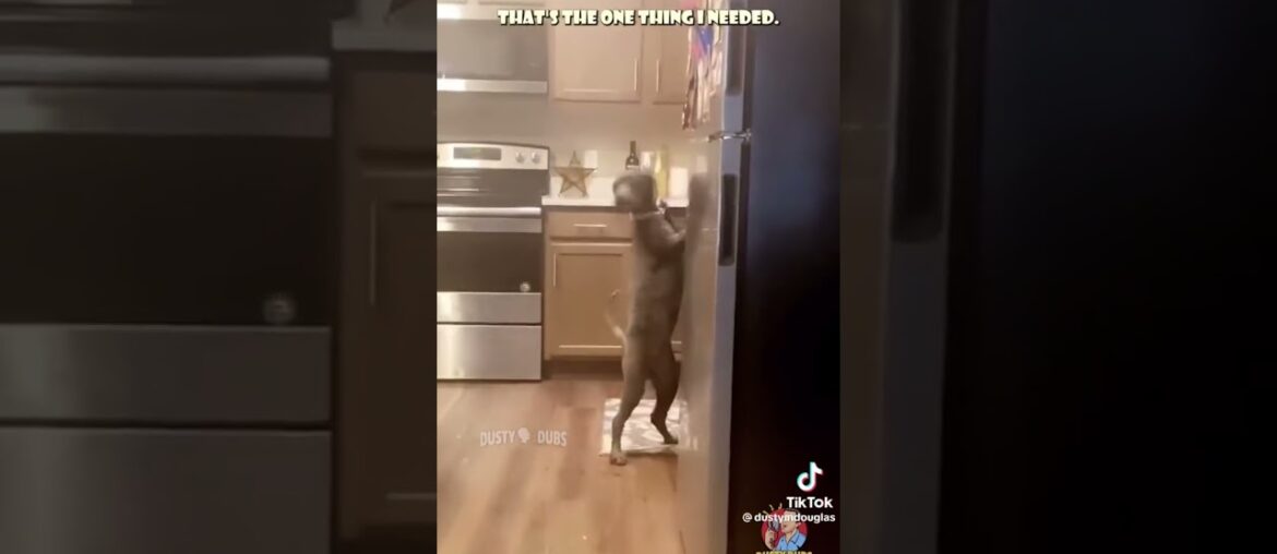 Part 2 of Dusty Dubs TikTok Video (not mine) Part 2 of Dusty Dubs TikTok Video (not mine)