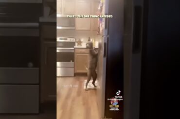 Part 2 of Dusty Dubs TikTok Video (not mine)