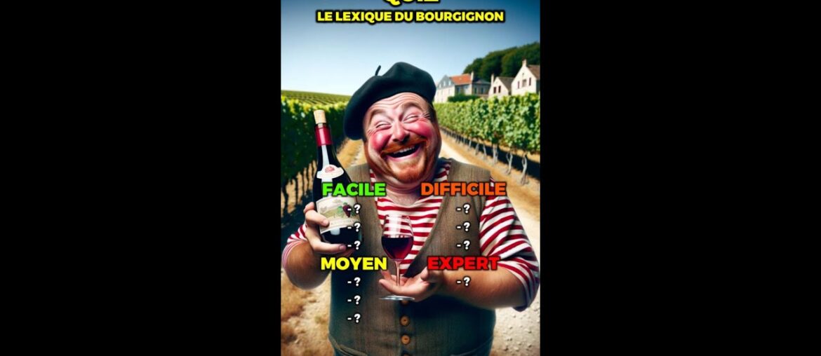 Seul un bourguignon pourra comprendre ! #quiz #bourgogne #bourguignon #language #france