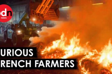French Farmers Protest: Fires, Roadblocks, Subsidy Clash