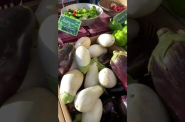 French Riviera gourmet tour