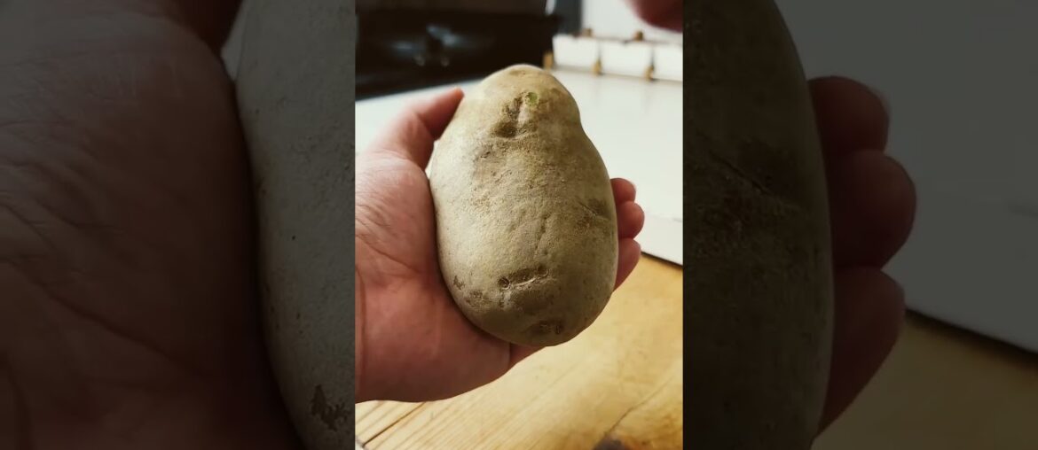 Real French Fries Real French Fries