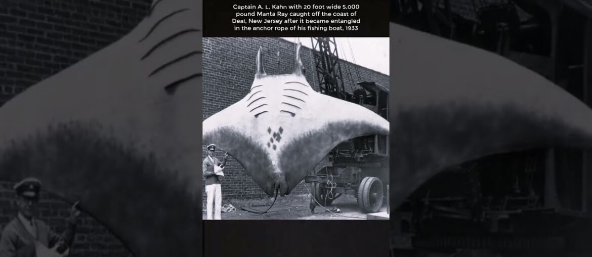 #history #photo #photography #historia #vintage #historicalphotos #shorts #history #photo #photography #historia #vintage #historicalphotos #shorts