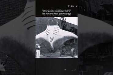 #history #photo #photography #historia #vintage #historicalphotos #shorts