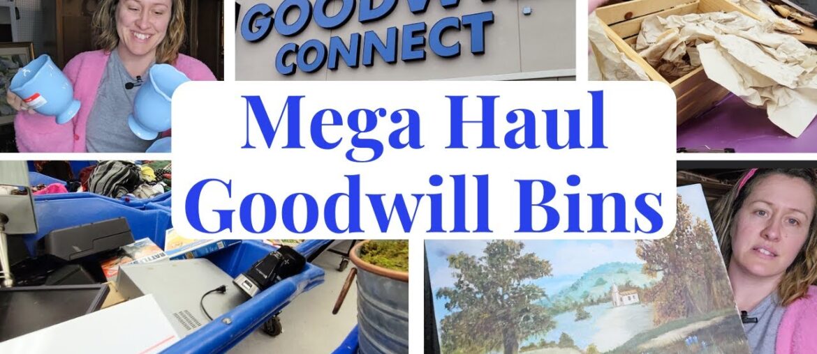 Mega Goodwill Bins Shop & Haul | I Found Pottery Barn, Anthropologie, and Crate and Barrel!!! Mega Goodwill Bins Shop & Haul | I Found Pottery Barn, Anthropologie, and Crate and Barrel!!!